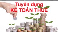 Nhân viên Kế toán Thuế